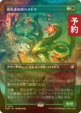 [FOIL] 苔生まれのハイドラ/Mossborn Hydra (全面アート版) 【日本語版】 [FDN-緑R] (予約B)