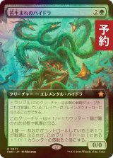 [FOIL] 苔生まれのハイドラ/Mossborn Hydra (拡張アート版) 【日本語版】 [FDN-緑R] (予約B)