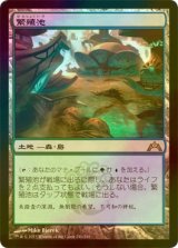 繁殖池/Breeding Pool (GTC/土地R/日/foil/EX) ※詳細要確認 