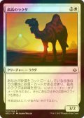 [FOIL] 孤高のラクダ/Solitary Camel 【日本語版】 [HOU-白C]