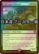 [FOIL] 耕作する巨躯/Cultivator Colossus ● (日本産ブースター版) 【英語版】 [INR-緑MR]