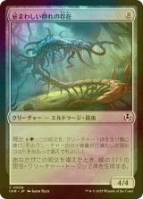 [FOIL] 忌まわしい群れの存在/It of the Horrid Swarm 【日本語版】 [INR-無C]