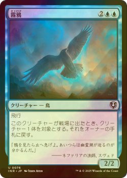 画像1: [FOIL] 霧鴉/Mist Raven 【日本語版】 [INR-青U]