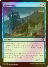 [FOIL] 潮からの蘇生/Rise from the Tides 【日本語版】 [INR-青U]