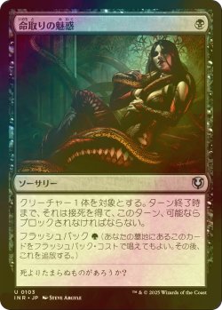 画像1: [FOIL] 命取りの魅惑/Deadly Allure 【日本語版】 [INR-黒U]