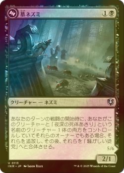 画像1: [FOIL] 墓ネズミ/Graf Rats 【日本語版】 [INR-黒U]