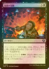 [FOIL] 血統の切断/Sever the Bloodline 【日本語版】 [INR-黒U]