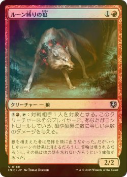 画像1: [FOIL] ルーン縛りの狼/Runebound Wolf 【日本語版】 [INR-赤U]