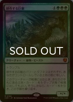 画像1: [FOIL] 耕作する巨躯/Cultivator Colossus (海外産ブースター版) 【日本語版】 [INR-緑MR]