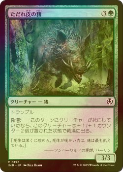 画像1: [FOIL] ただれ皮の猪/Festerhide Boar 【日本語版】 [INR-緑C]