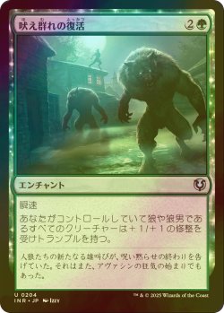 画像1: [FOIL] 吠え群れの復活/Howlpack Resurgence 【日本語版】 [INR-緑U]