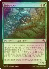 [FOIL] 黴墓のヤスデ/Moldgraf Millipede 【日本語版】 [INR-緑C]