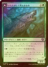 [FOIL] けたたましく吠えるもの/Shrill Howler 【日本語版】 [INR-緑U]