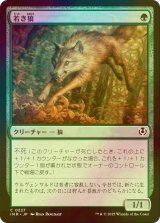 [FOIL] 若き狼/Young Wolf 【日本語版】 [INR-緑C]