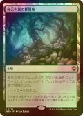 [FOIL] 死天狗茸の林間地/Deathcap Glade 【日本語版】 [INR-土地R]