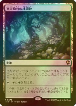 画像1: [FOIL] 死天狗茸の林間地/Deathcap Glade 【日本語版】 [INR-土地R]