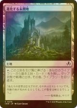 [FOIL] 進化する未開地/Evolving Wilds 【日本語版】 [INR-土地C]