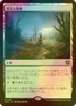 画像1: [FOIL] 草茂る農地/Overgrown Farmland 【日本語版】 [INR-土地R]