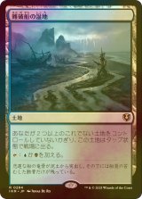 [FOIL] 難破船の湿地/Shipwreck Marsh 【日本語版】 [INR-土地R]