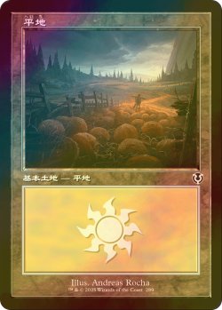 画像1: [FOIL] 平地/Plains No.289 (旧枠) 【日本語版】 [INR-土地C]