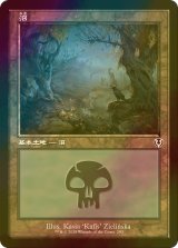 [FOIL] 沼/Swamp No.293 (旧枠) 【日本語版】 [INR-土地C]