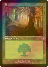 [FOIL] 森/Forest No.296 (旧枠) 【日本語版】 [INR-土地C]