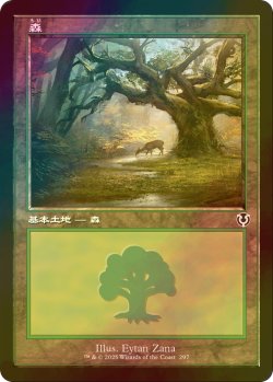 画像1: [FOIL] 森/Forest No.297 (旧枠) 【日本語版】 [INR-土地C]