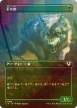 [FOIL] 若き狼/Young Wolf (全面アート版) 【日本語版】 [INR-緑C]