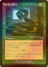 [FOIL] 野生の飢え/Wild Hunger (旧枠) 【日本語版】 [INR-緑U]