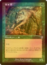 [FOIL] 若き狼/Young Wolf (旧枠) 【日本語版】 [INR-緑C]