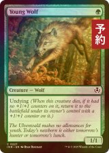 [FOIL] 若き狼/Young Wolf 【英語版】 [INR-緑C] (予約D)