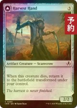 [FOIL] 収穫の手/Harvest Hand 【英語版】 [INR-灰C] (予約D)