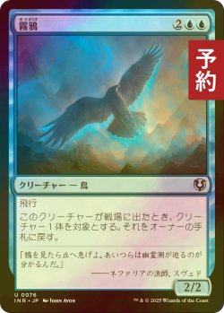 画像1: [FOIL] 霧鴉/Mist Raven 【日本語版】 [INR-青U] (予約D)