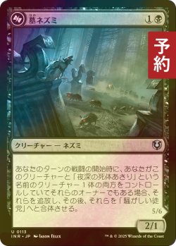 画像1: [FOIL] 墓ネズミ/Graf Rats 【日本語版】 [INR-黒U] (予約D)