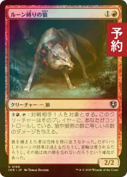 画像1: [FOIL] ルーン縛りの狼/Runebound Wolf 【日本語版】 [INR-赤U] (予約D)