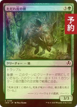 画像1: [FOIL] ただれ皮の猪/Festerhide Boar 【日本語版】 [INR-緑C] (予約D)