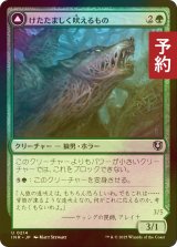 [FOIL] けたたましく吠えるもの/Shrill Howler 【日本語版】 [INR-緑U] (予約D)