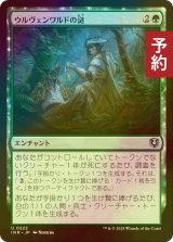 [FOIL] ウルヴェンワルドの謎/Ulvenwald Mysteries 【日本語版】 [INR-緑U] (予約D)