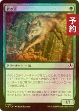 [FOIL] 若き狼/Young Wolf 【日本語版】 [INR-緑C] (予約D)