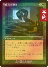 [FOIL] 野生の飢え/Wild Hunger (旧枠) 【日本語版】 [INR-緑U] (予約D)