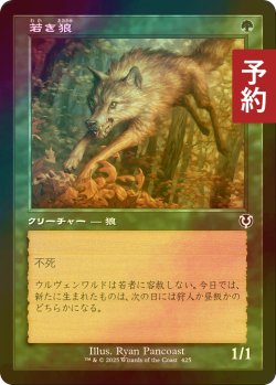 画像1: [FOIL] 若き狼/Young Wolf (旧枠) 【日本語版】 [INR-緑C] (予約D)