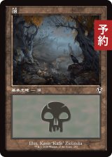 沼/Swamp No.293 (旧枠) 【日本語版】 [INR-土地C] (予約D)