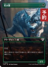 若き狼/Young Wolf (全面アート版) 【日本語版】 [INR-緑C] (予約D)