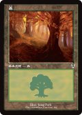 森/Forest No.296 (旧枠) 【日本語版】 [INR-土地C]