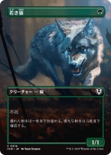 若き狼/Young Wolf (全面アート版) 【日本語版】 [INR-緑C]