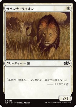 画像1: サバンナ・ライオン/Savannah Lions 【日本語版】 [J25-白C]