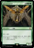 女王スズメバチ/Hornet Queen 【日本語版】 [LTC-緑R]