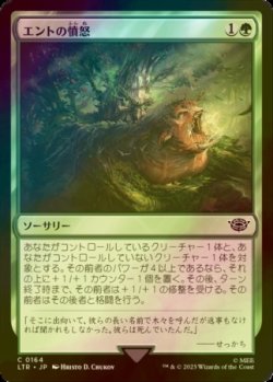 画像1: [FOIL] エントの憤怒/Ent's Fury 【日本語版】 [LTR-緑C]