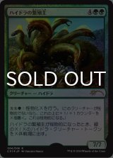 [FOIL] ハイドラの繁殖主/Hydra Broodmaster 【日本語版】 [CP1-緑R]