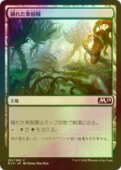 画像1: [FOIL] 穢れた果樹園/Foul Orchard 【日本語版】 [M19-土地C]